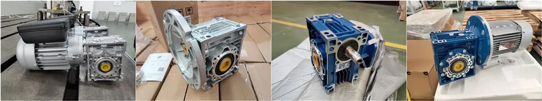 ep-worm-gearbox-2.12webp