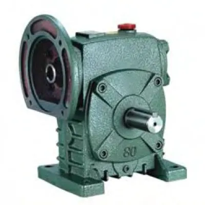 WPDS Series Worm Gear Reducer dual shaft access