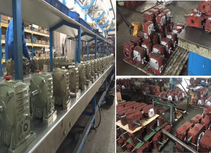 WPDS worm gear reducer accessories and drive components