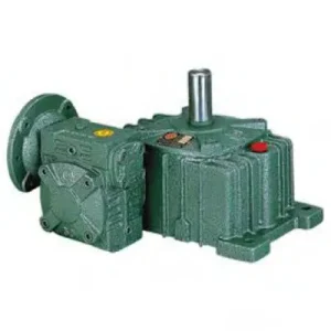 EDO Series Double Worm Gear Reducer