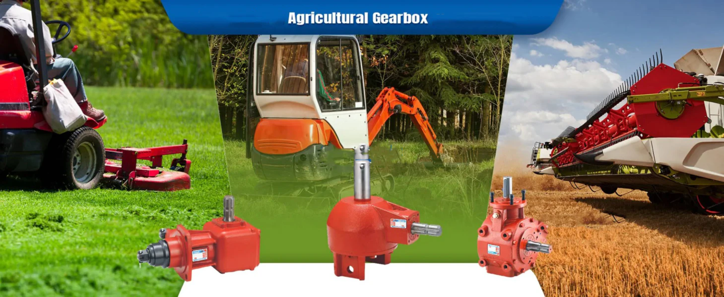 ever-power Manure Belt Gearbox in Australian Poultry Shed